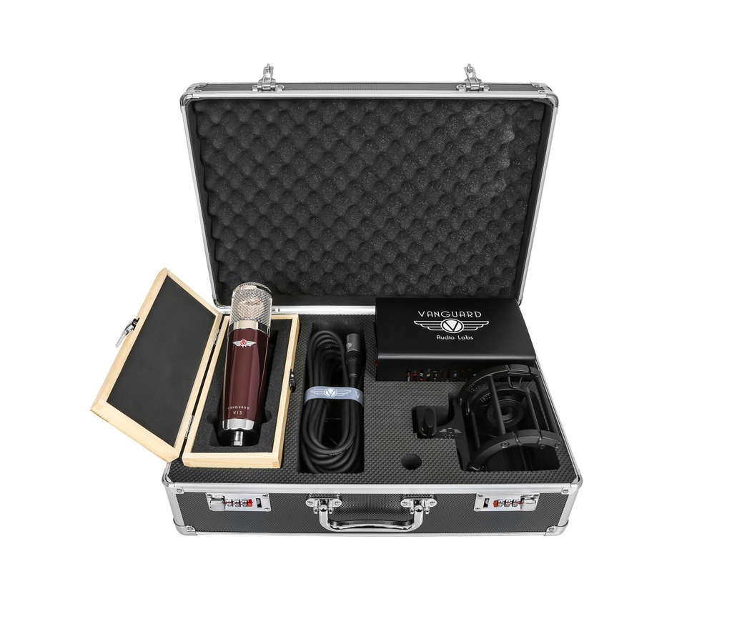 Vanguard V13 Gen2 WITH CINEMAG TRANSFORMERS - V13 Cinemag Open Case.jpg