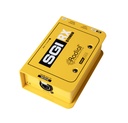 Radial SGI Stereo RX angle