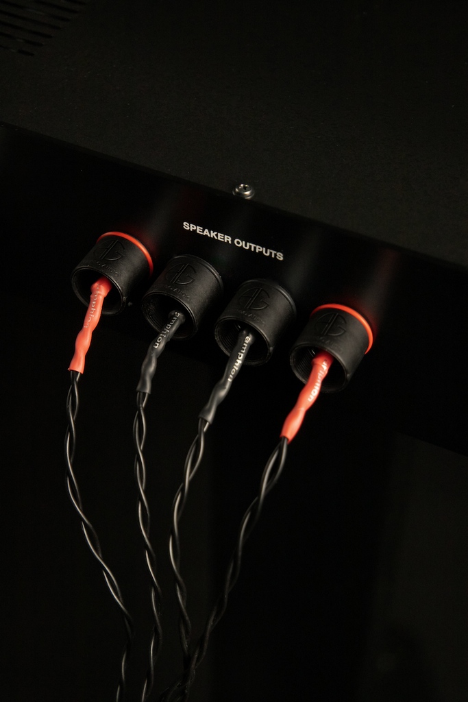 [WB-Amphion-26] Amphion SpeakCable 2.5